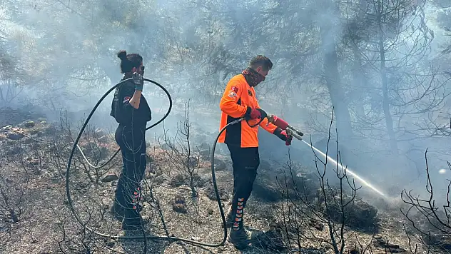 BUCAKUT sahada, mücadele sürüyor