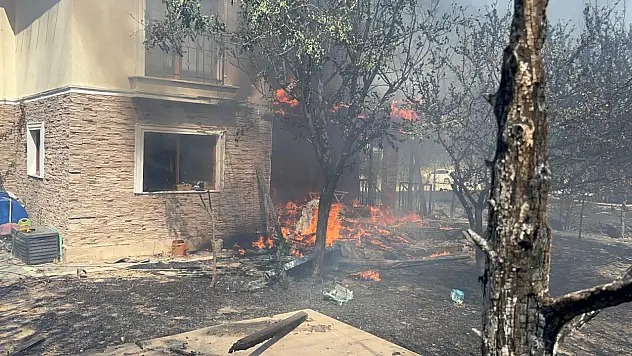 Çanakkale'de ormanlık alana sıçrayan yangında villalar yandı