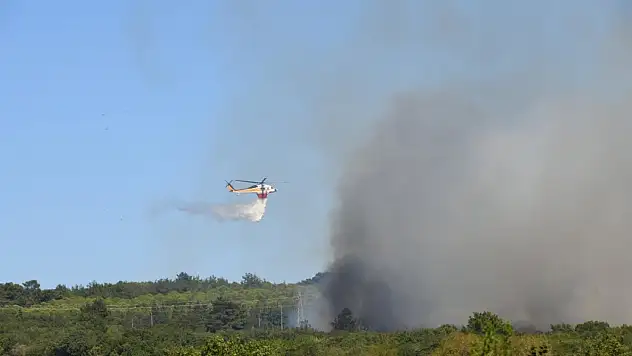 Çanakkale'de yeniden orman yangını çıktı