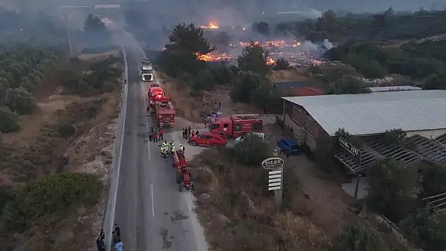 Çeşme otoyolu'nda araç yangını ormana sıçradı