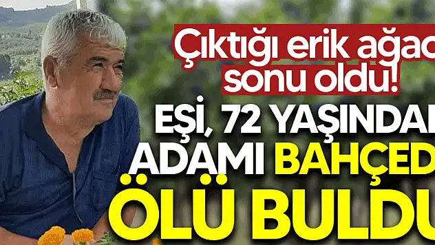 Çıktığı erik ağacı sonu oldu