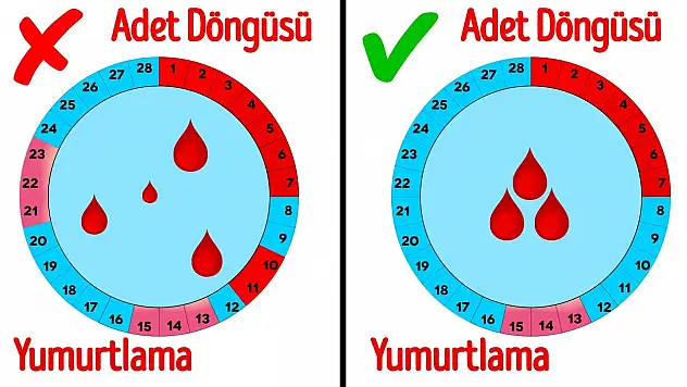 Covid-19 aşısı adet döngüsünü uzatıyor mu?