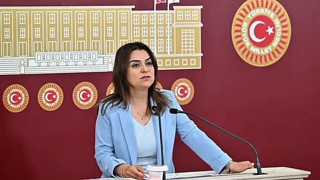 DEM Parti Grup Başkanvekili Koçyiğit: 'Bu ülkede çözüm isteyenler kadar olmasa da çözüm istemeyen kesimlerin olduğu gerçeğini de iyi biliyoruz'