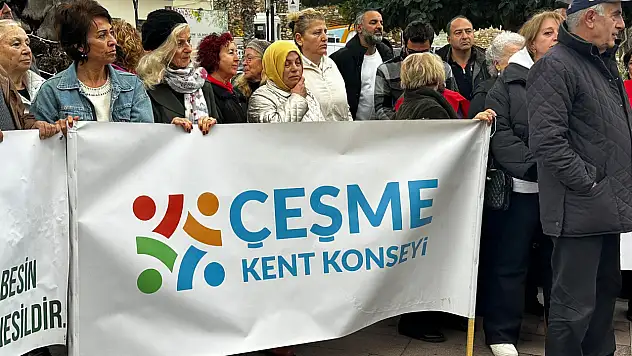 Demircili Koyu'nda 'Hurda Gemi' alarmı