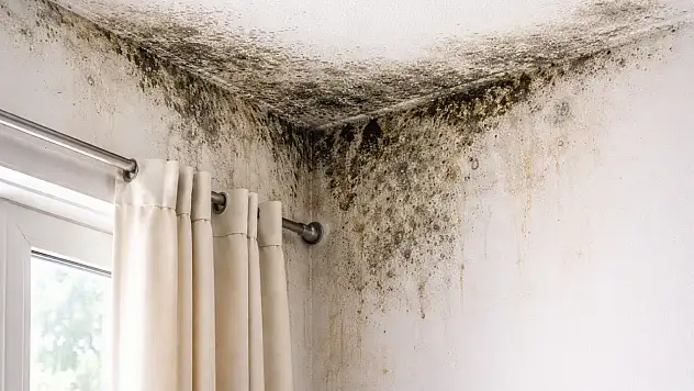 DEÜ'lü uzmandan kritik uyarı: Evlerdeki nem ve küf ciddi hastalıklara davetiye çıkarıyor