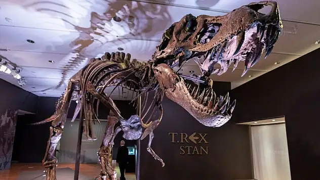 Dinozor İskeleti 30 Milyon Dolara Satıldı!