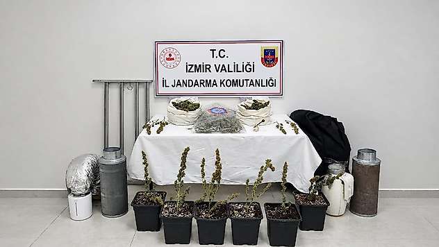 Evinde yasa dışı kenevir yetiştiren şüpheli gözaltına alındı