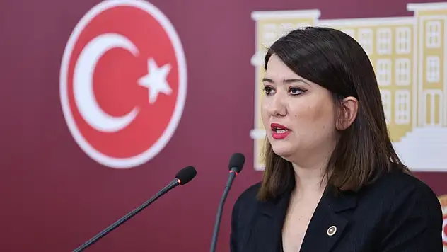 Gökçe Gökçen'den sert çıkış: 'Sözü edilen gün Genel Merkez'de değildim'