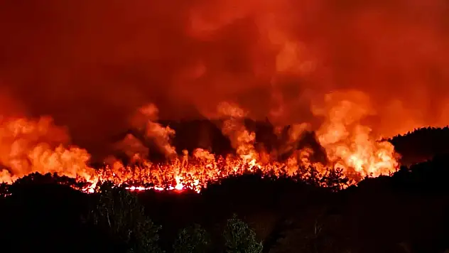 Haziran ve Temmuz da yandık Türkiye'm
