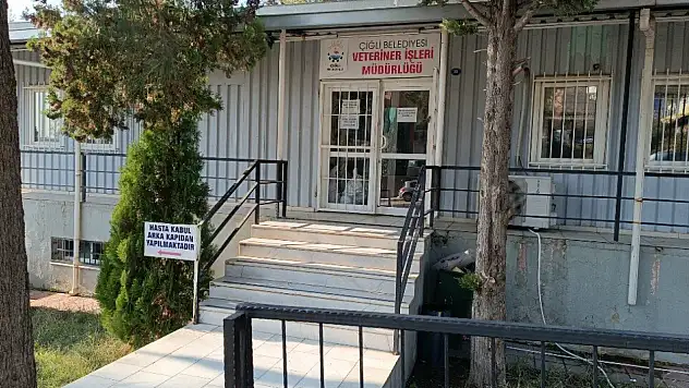 İzmir'de Belediye veteriner hizmetleri ve başvuru yolları