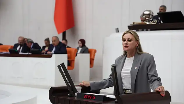 İzmir'de elektrik kesintileri meclis gündeminde