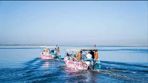 İzmir'de Flamingo yolu turları başladı