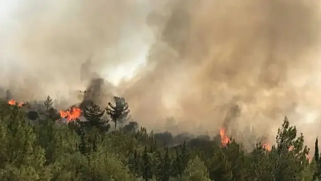 İzmir'deki orman yangınları yargıya taşındı