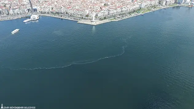 İzmir Körfezi'nde kirlilik tespiti: Dokuzuncu vaka kayda geçti