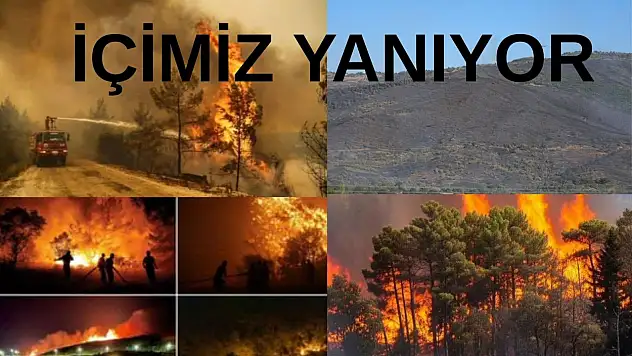 İzmir, Kütahya ve Bursa'da orman yangınları sürüyor: Tahliyeler ve ulaşım kısıtlamaları devrede