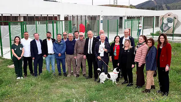 İZSİAD'dan sokak hayvanları için örnek seferberlik
