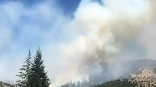 Kahramanmaraş'ta orman yangını