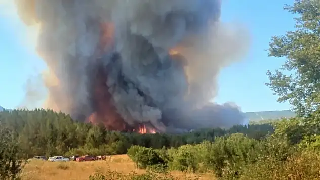 Karabük'te orman yangını rüzgarın etkisiyle büyüyor
