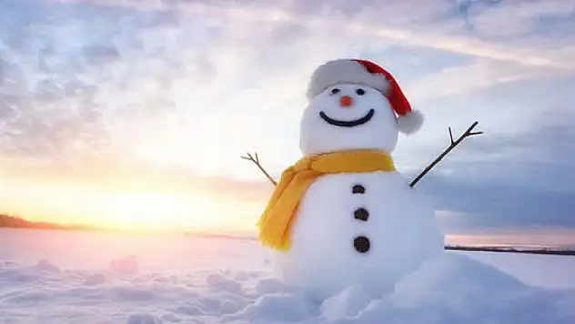 Kış sert geçebilir: Vortex bozulacak, La Niña etkisi artacak