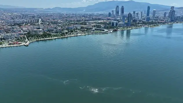 Körfezde alarm zilleri çalıyor: İzmir'de aynı bölgede 14'üncü kirlilik vakası tespit edildi