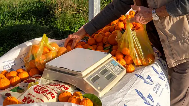 'Mandalinanı Tart, Parasını Kutusuna At' uygulaması başladı