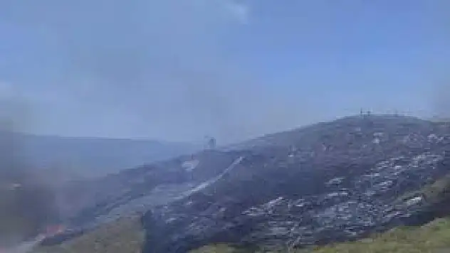 Marmara Denizi'nde Paşalimanı Adası'nda yangın paniği