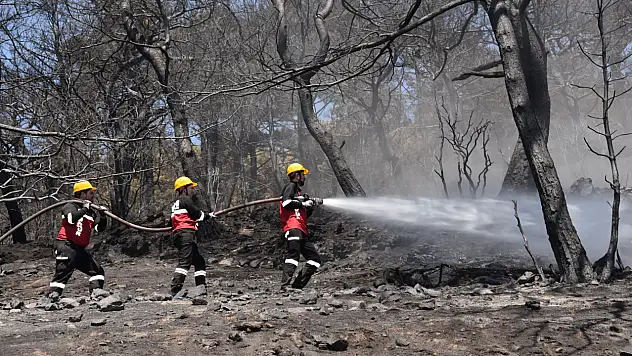 Menemen afet hazırlığında örnek model: Arama kurtarma ekibi 80 kişiye ulaştı