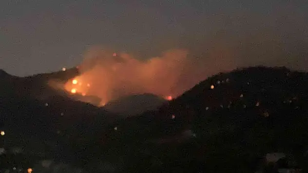 Mersin'de geceyi aydınlatan orman yangını