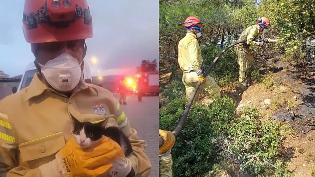 Minik Kedi Alevlerin Arasından Kurtarıldı