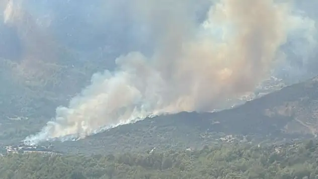 Muğla'da orman yangını çıktı
