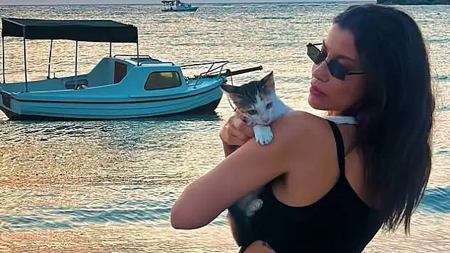 Müjde Uzman'a sokak kedisi şikâyeti: 'İnanılmaz gerçekten'
