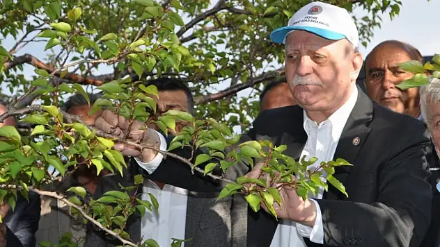 Mülteciler olmasa tarım yapılamaz