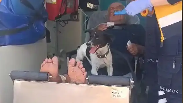 Nevşehir'de duygulandıran görüntü