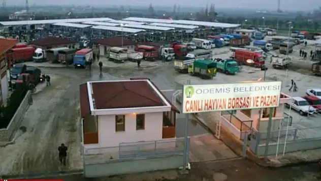 Ödemiş hayvan pazarı yeniden açılıyor
