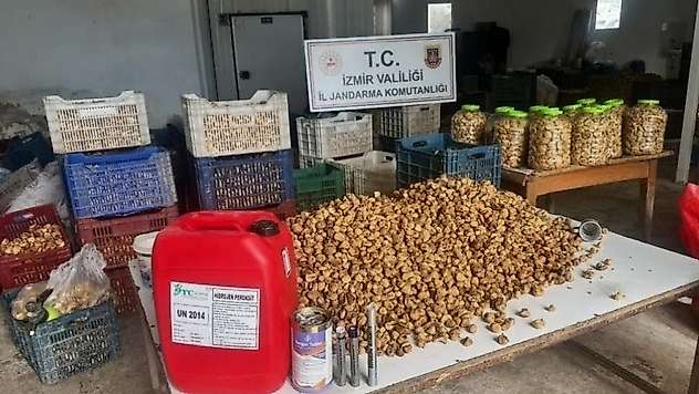 Lavabo açıcıyla beyazlatılmış 3 ton incir ele geçirildi