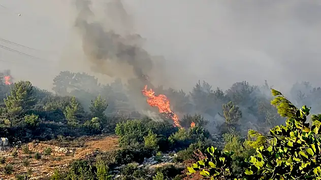Pınarbaşı otobanında korkutan yangın