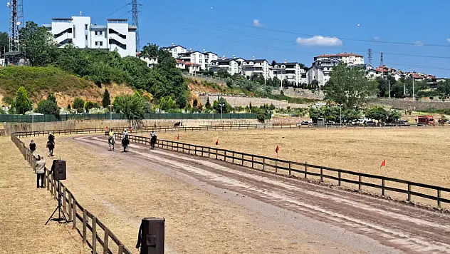 Rahvan atların Gölcük şampiyonları belli oldu