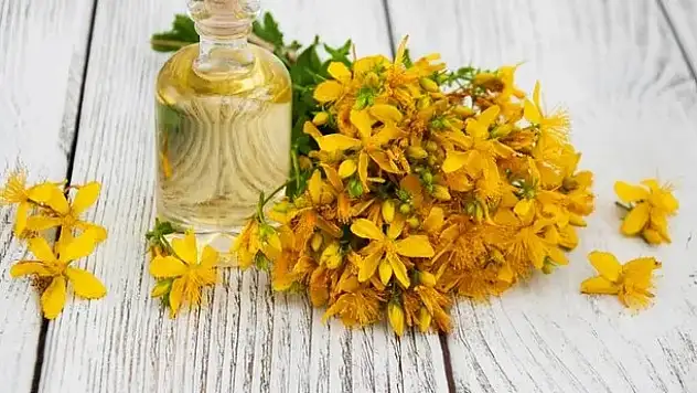 Sarı kantaron yağı nedir?