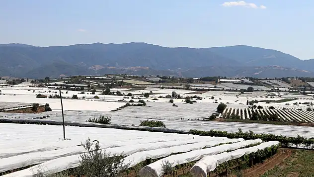 Sarıgöl Ovası beyaz gelinliğini giydi