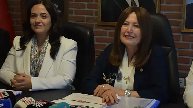 Şenol Sunat'tan Vestel çıkışı: Kamu kaynağı kullanılacaksa şartlar açık olmalı