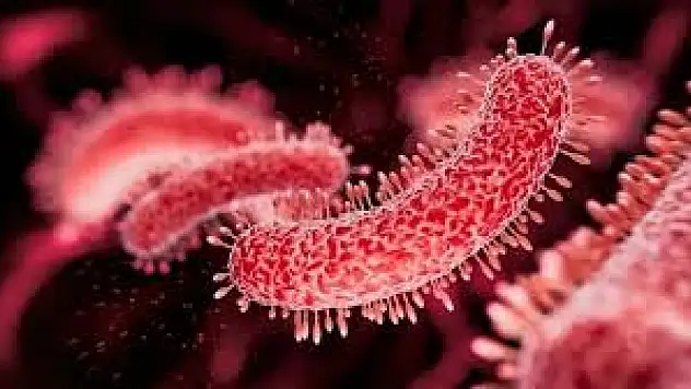 Sıcak denizlerde sessiz tehlike: Vibrio Bakterisi ölümcül olabilir