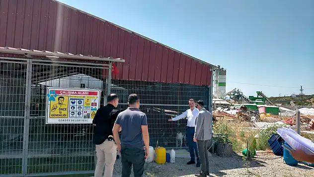 Sokak hayvanları doğal yaşam alanlarına denetim