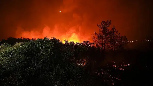 Son dakika Buca yangınına ilişkin 1 kişi tutuklandı