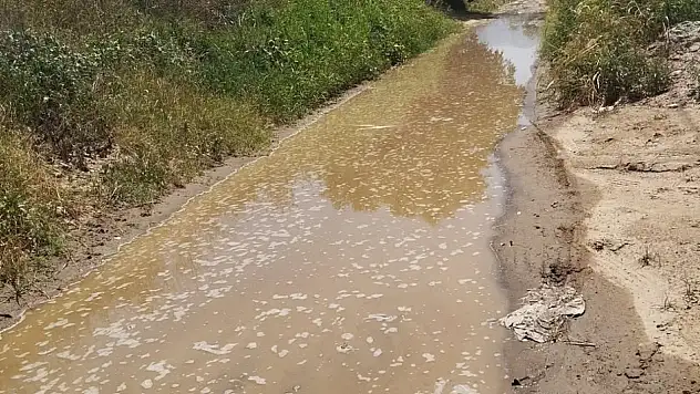 Su israfı gölete dönüştü