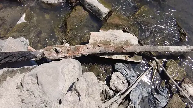 Suların çekilmesi ile tarihi tüfek bulundu