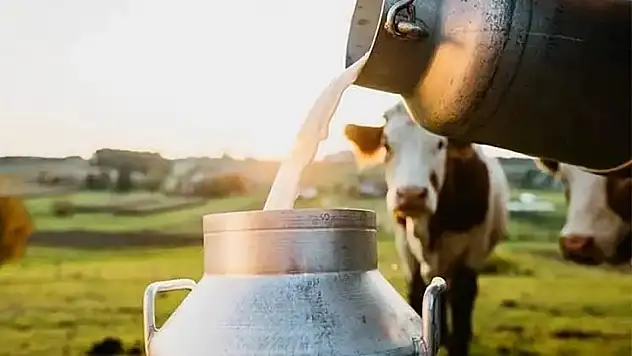 Süt üretiminde gerileme