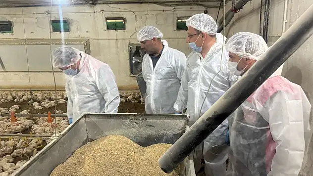 Tavuk eti üretimi Mayıs ayında arttı