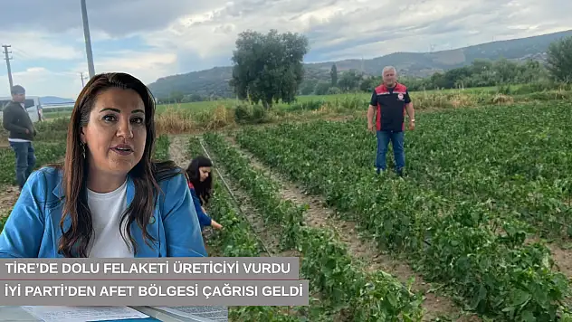 Tire'de dolu felaketi üreticiyi vurdu, İYİ Parti'den afet bölgesi çağrısı geldi