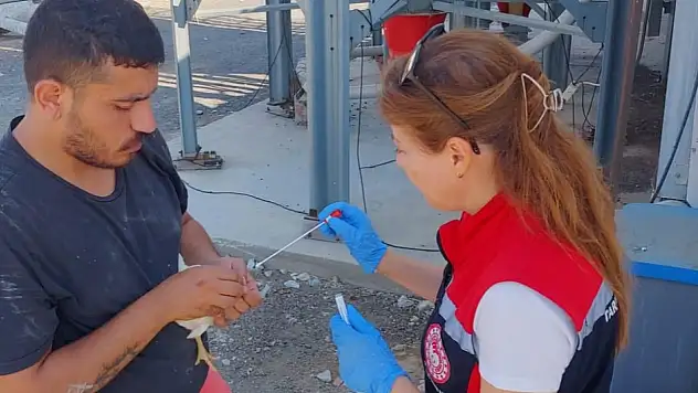 Tire'de kanatlı hayvan ve arıcılık denetimleri devam ediyor