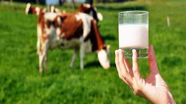 Ağustos ayında süt üretimi yüzde 9,5 arttı